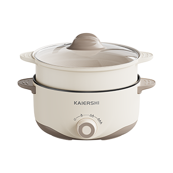 Electric Cooker JJ-24C