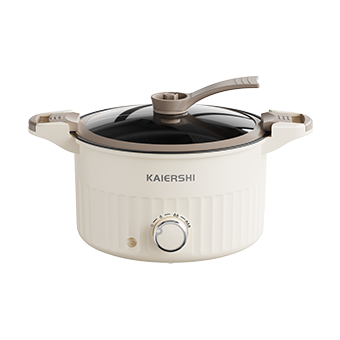 Electric Cooker JJ-24E