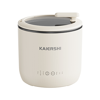 Electric Cooker JJ-300